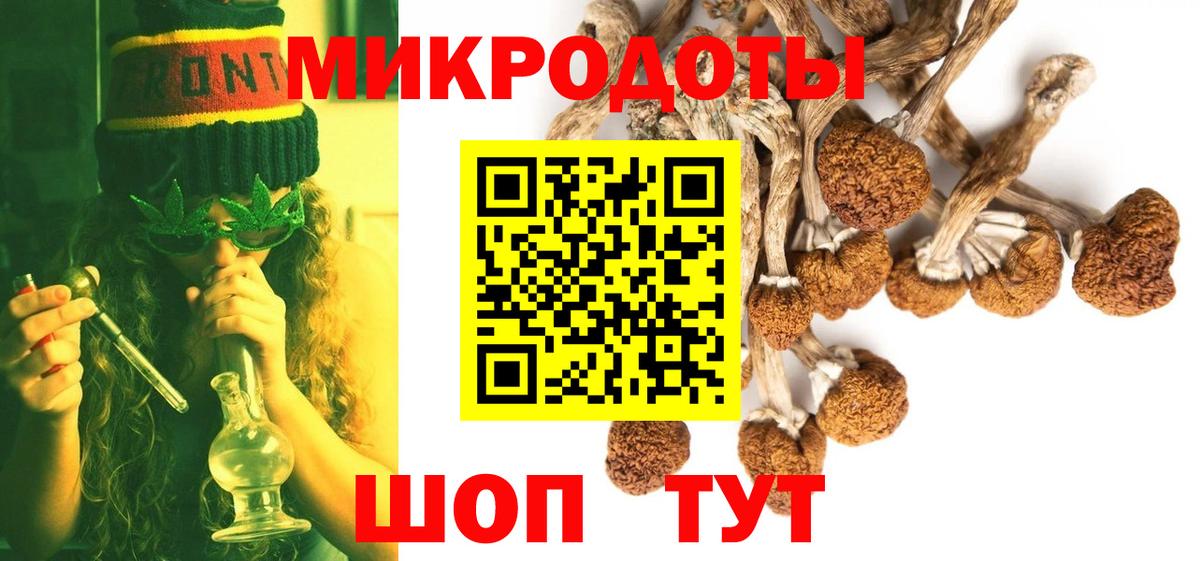 Галлюциногенные грибы Psilocybine cubensis Советская Гавань